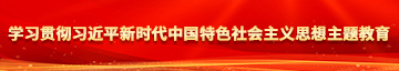 我操逼片学习贯彻习近平新时代中国特色社会主义思想主题教育